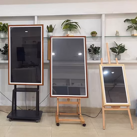 Type 21.5 32 Inch Private Art Gallery Exhibition Work Smart TV Frame Digital Museum Anti